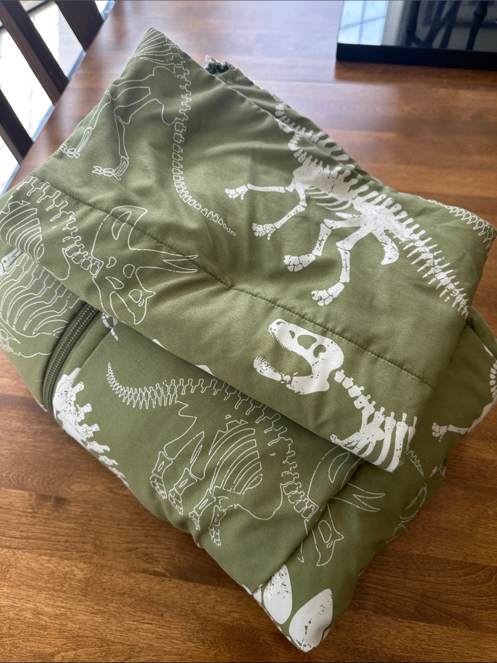 Beddy’s Olive Green Dinosaur Print Quilted Comforter - TODDLER